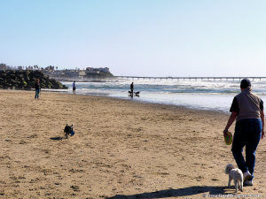 Original Dog Beach at San Diego.