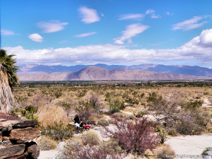 Anza-Borrego Desert State Park, CA