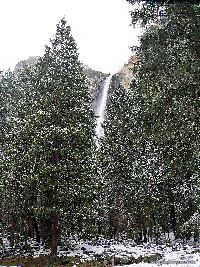 Bridal Veil Falls through woods