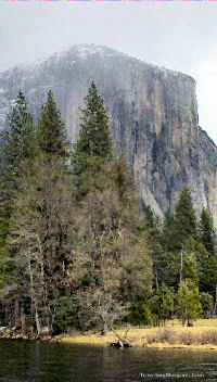 El Capitain in Yosemite NP. Click for larger picture. El Capitan in Yosemite NP.