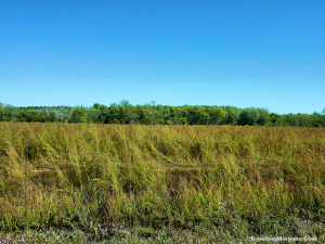 Flint Hills of KS. Click for larger picture. Flint Hills of KS.
