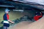 Mammoth Cave National Park.