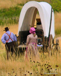 Wagon for Oregon Trail. Click for larger picture Wagon for Oregon Trail