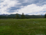 Iron Mtn Rd S. Viewpoint