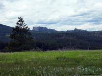 Iron Mtn Rd S. Viewpoint