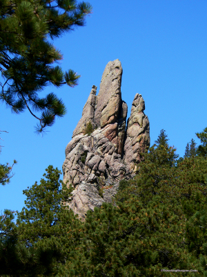 Natural Carvings near Mt. Rushmore
