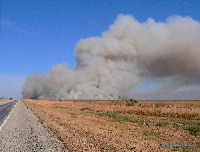 Aransas NWR brush fire.