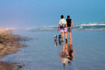 Paul, Phyllis, Roscoe and Harpo enjoying the beach at Padre Island National Seashore.