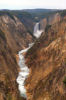 Grand Canyon of the Yellowstone, Yellowstone National Park.